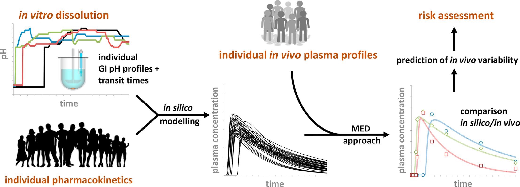 Diferença entre os termos in vivo, in vitro e in silico