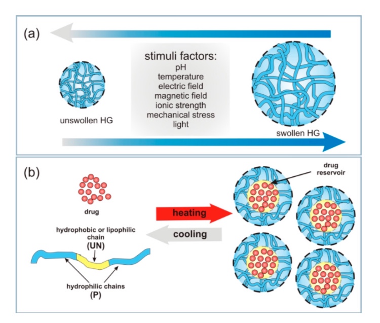 Hydrogels as Potential Nano-, Micro- and Macro-Scale Systems for