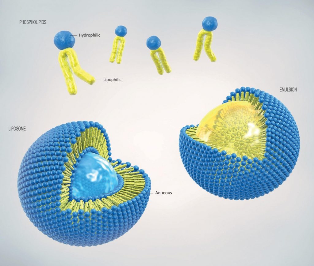 Phospholipid-Based Delivery Systems - Advanced Vaccines in Modern ...