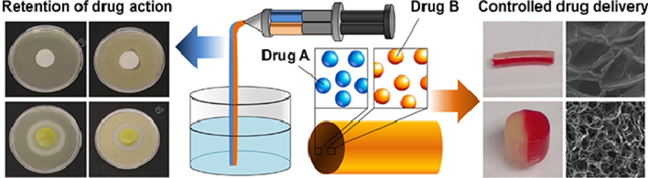 Alginate-based hydrogels as drug delivery vehicles in cancer