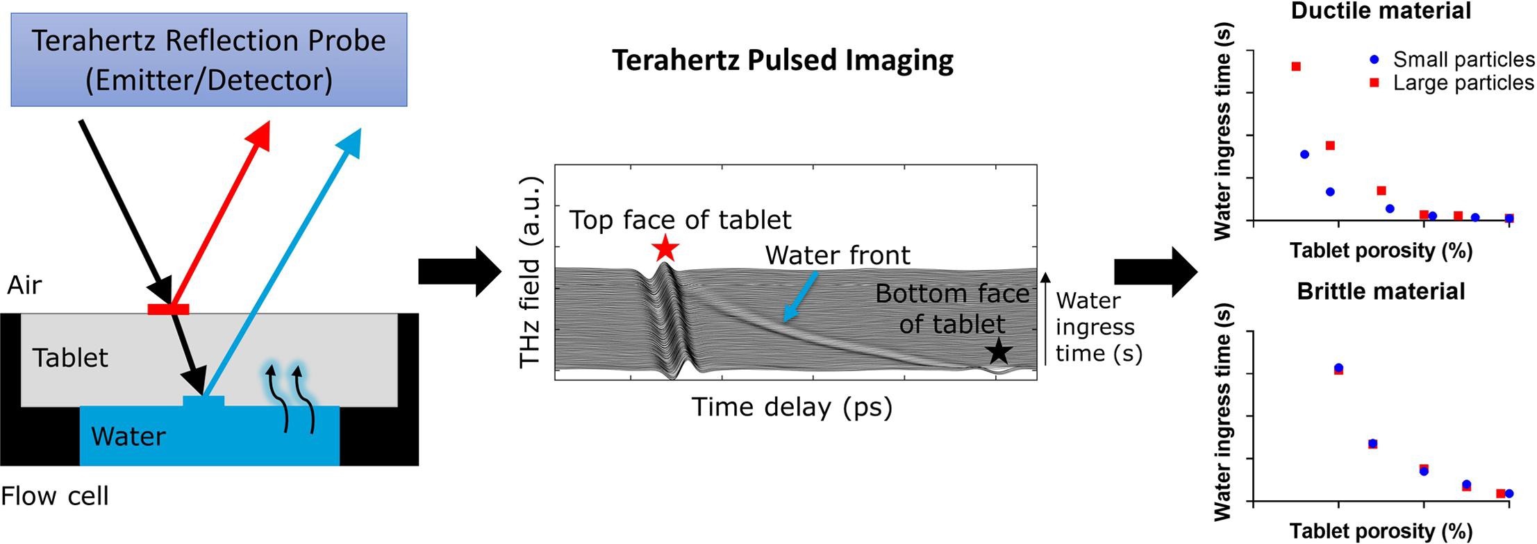 Effect Of Particle Size And Deformation Behaviour On Water Ingress Into Tablets Pharma Excipients