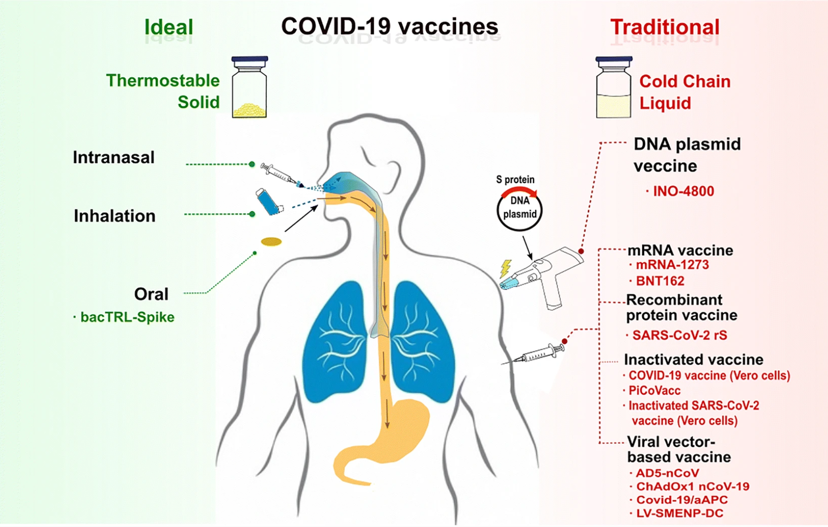 The COVID-19 Vaccine Race: Challenges and Opportunities in ...
