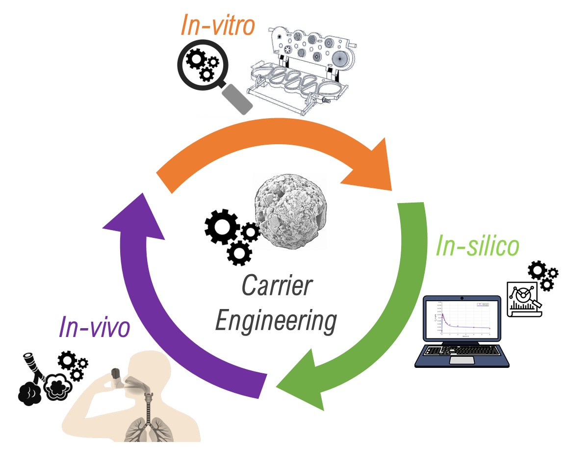 Diferença entre os termos in vivo, in vitro e in silico