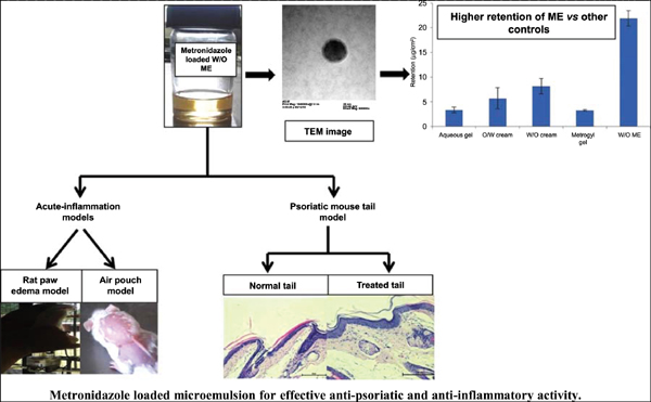 Development Pre Clinical Investigation And Histopathological Evaluation Of Metronidazole Loaded Topical Formulation For Treatment Of Skin Inflammatory Disorders Pharma Excipients