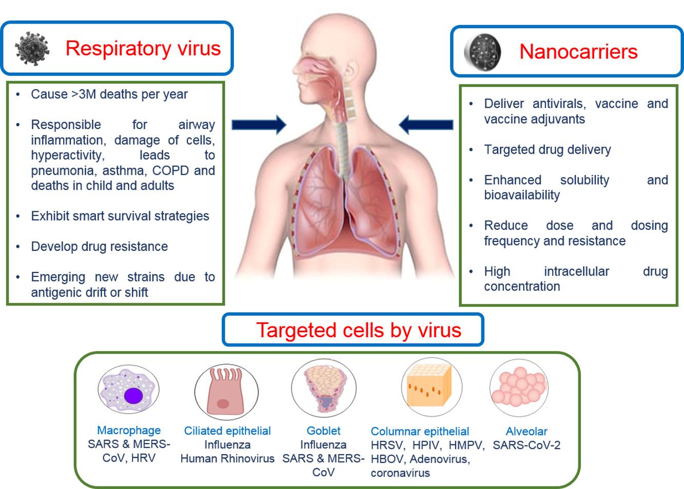 Human respiratory viral infections Current status and future prospects
