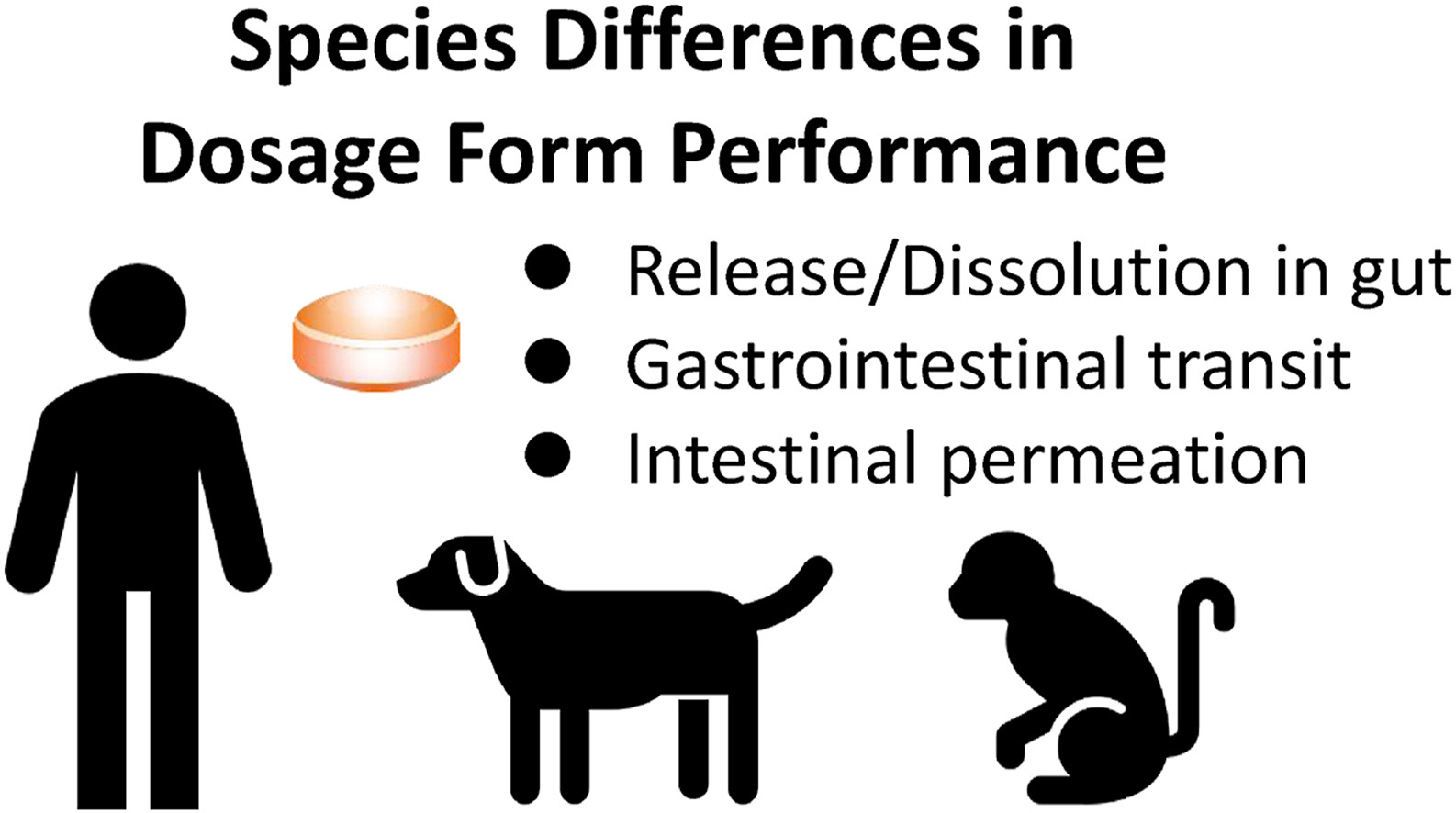 resumo gráfico das diferenças entre espécies na fisiologia gastrointestinal que afetam o desempenho in vivo de formas de dosagem farmacêuticas sólidas orais