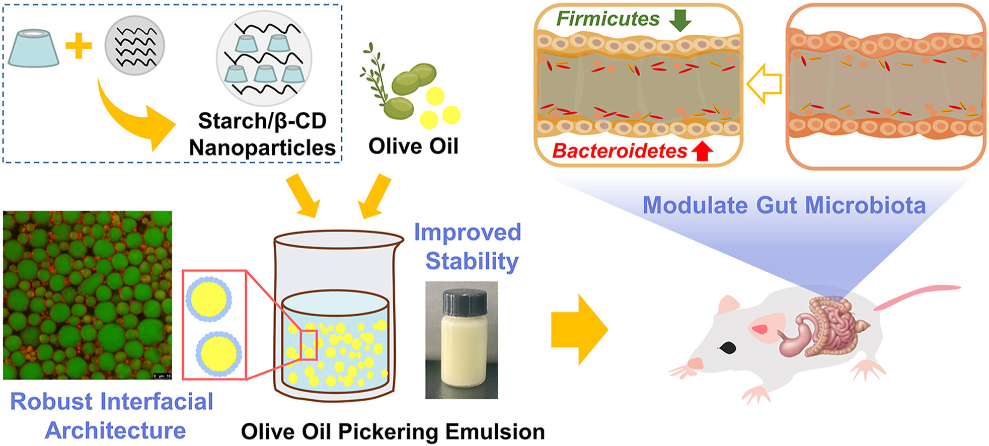 Recent advances in improving stability of food emulsion by plant