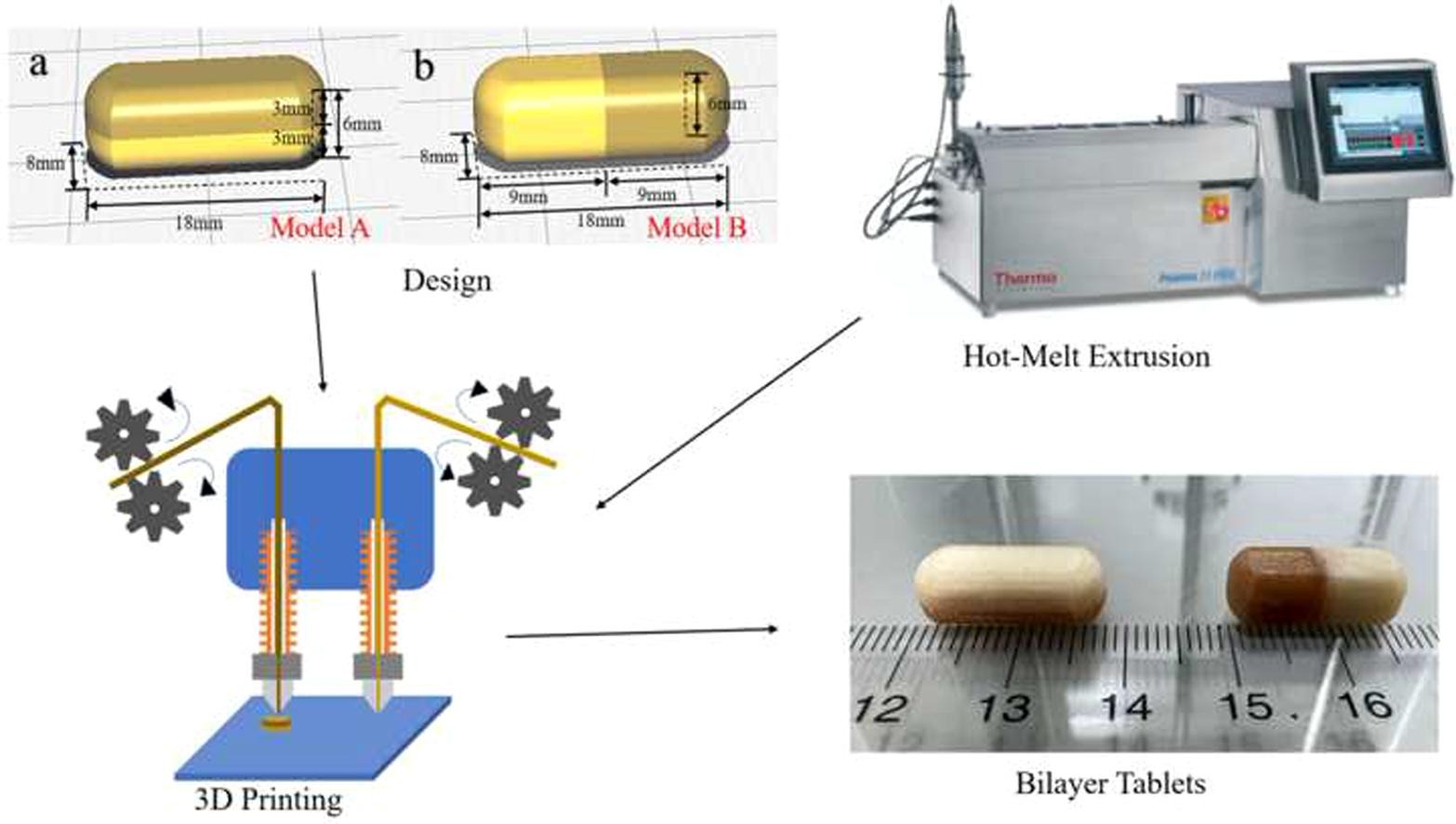 Fabricação de comprimidos de bicamada usando impressão 3D de modelagem de deposição fundida de bico duplo com base em extrusão hot melt
