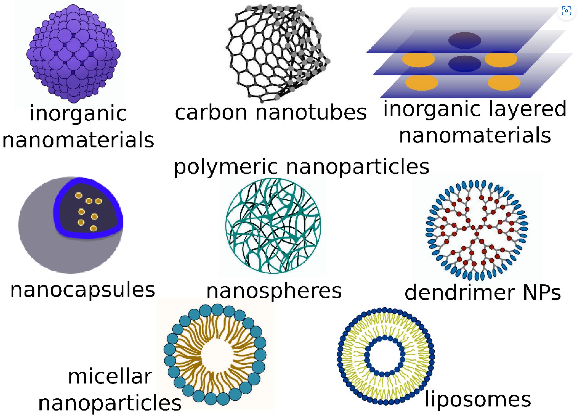 Meeting Contemporary Challenges: Development of Nanomaterials for  Veterinary Medicine - Pharma Excipients